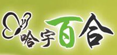 哈宇百合(barhee)