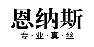 恩纳斯(ernust)